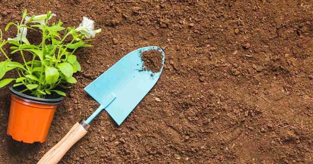 garden guide homenumental